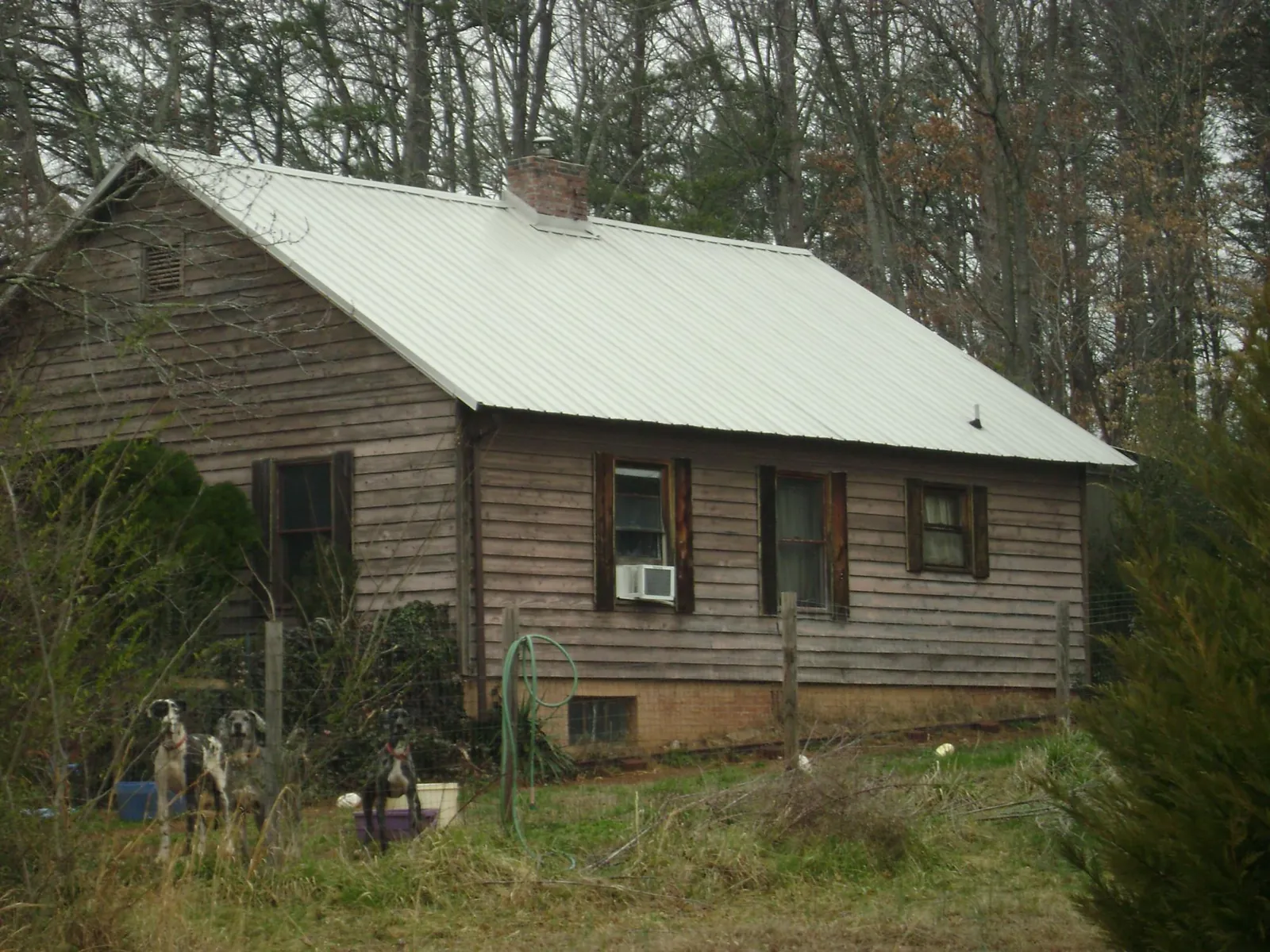 White metal roof on an old wood sided farmhouse, from a Asphalt Shingle Roof Repair job in Dawson